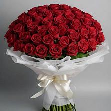Букет 101 Красная роза Блэк Мэджик в Спас-Заулок