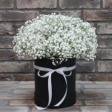 Цветочная композиция из Гипсофила в шляпной коробке в Спас-Заулок