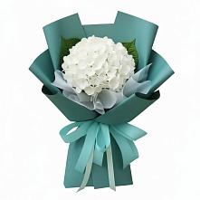 Букет цветов из:  Гортензия в Спас-Заулок